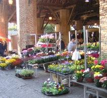 marché-en-fleurs
