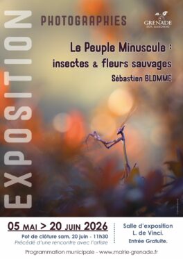 Affiches_minuscules